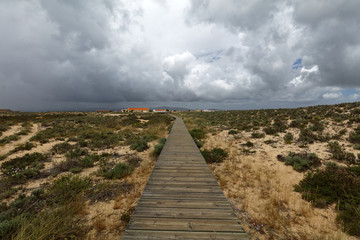 Pathway to the beach on Culatra Island in Ria Formosa, Portugal