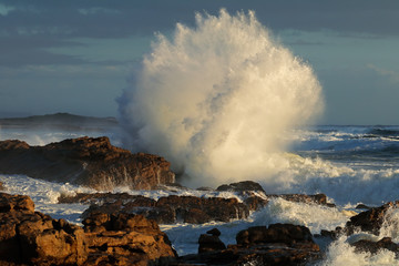Seascape with large breaking wave on coastal rocks, South Africa .