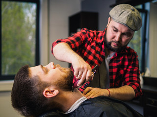 Adult male barber and customer in shop