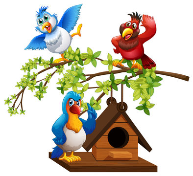 Three parrots flying around birdhouse