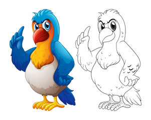 Animal doodle for macaw parrot