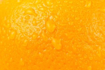 Close-up photo of juicy wet orange fruit