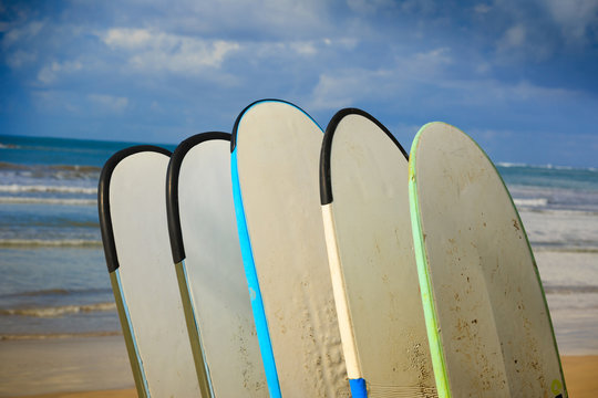 surfboards for rent on seaside beach