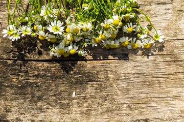 Chamomile flowers on rustic wooden background with copy space. Top view