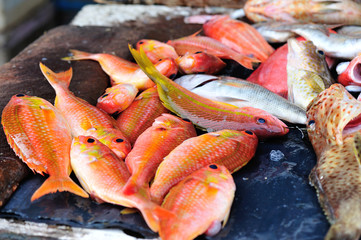 fresh fish selling on the market