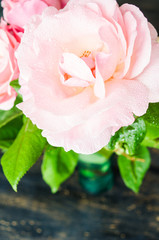 Obraz na płótnie Canvas Summer floral frame with roses