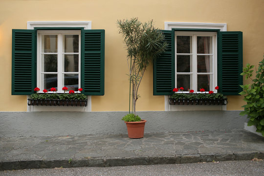 a typical austrian window with green louvered shuters and square paned windows with flowers in hanging flower pots