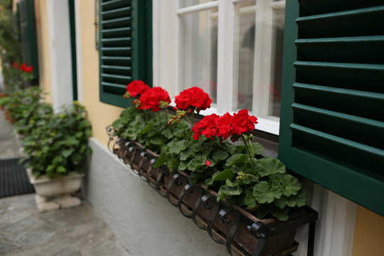 a typical austrian window with green louvered shuters and square paned windows with flowers in hanging flower pots