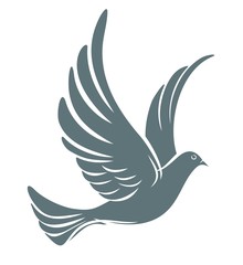 Obraz premium Sketch of pigeon. 