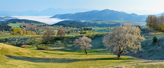 Spring meadows and fields landscape in Slovakia. Low Tatras panorama with snowy peaks. Blooming...