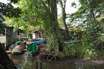 Obraz premium Boats on the banks of the Tortuguero river in Tortuguero, Costa Rica