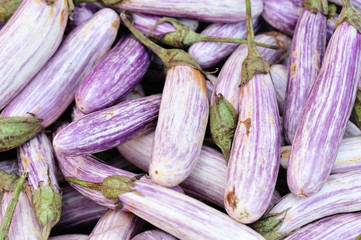 fresh eggplants selling at local market