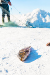 In winter, people catch fish from under the ice in the Cildir Lake. Fishing is a popular activity among the local people, Kars