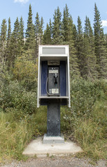 Wildlife payphone