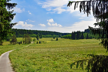 Romantic landscape in the Schwarzwassertal in the Erzgebirge in Saxony / Germany