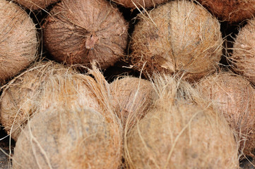 Coconut