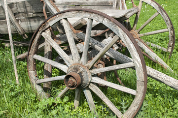 Fototapeta na wymiar Wooden wheels on old rural weathered cart on green grass meadow