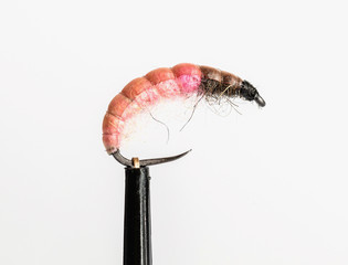 fly for fishing on a white background