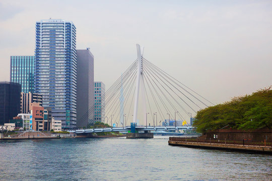 Токио. Вантовый мост через реку Сумида.
