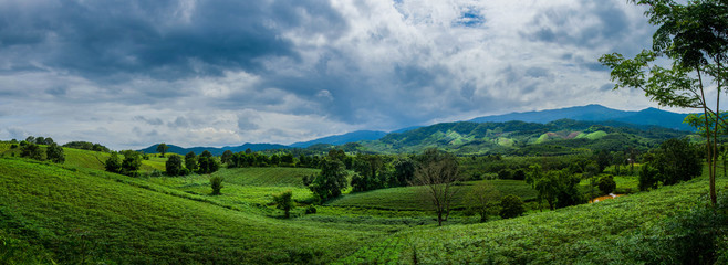 Obraz premium Panorama of a farm