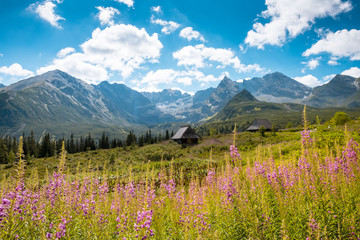 Naklejka premium Hala Gasienicowa, Tatra mountains Zakopane Poland
