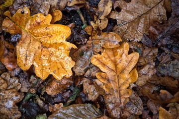 Herbstwetter