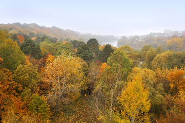 Panoramic view of autumn deciduous forest with red, yellow and green trees. Misty haze on the horizon.