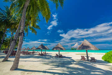 Chairs under umrellas and palm trees on a tropical beach, Maldives
