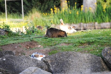 Fototapete bei efototapeten.de bestellen   