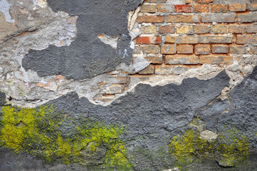 Fragment of the destroyed building with cracked stucco with green mold and clay brick.