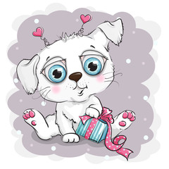 Beautiful and cute white puppy with gift box
