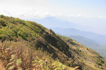Obraz premium View of guided nature trail which has some group of tourist at Kio Mae Pan, Doi Inthanon National Park, Chiang Mai, Thailand 