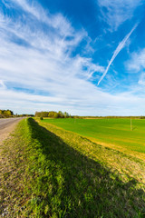 Green meadow under blue sky with clouds. Nature landscape.