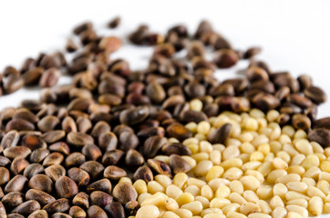 Pile of pine nuts isolated on white background.