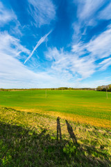 Green meadow under blue sky with clouds. Nature landscape.