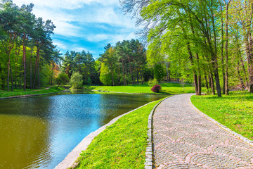 Summer scenery of the park alley with lake - obrazy, fototapety, plakaty