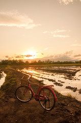 Fototapeta premium Beautiful landscape with red classic bicycle against sunset sky background