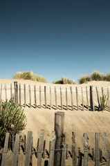 Obraz premium plage de l'Espiguette