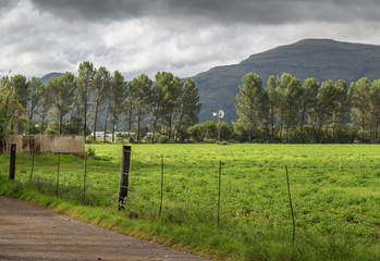 Fototapeta na wymiar Green meadow, reservoir and wind pump on farm before thunder storm