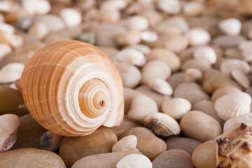 Sea pebbles background, natural seashore stones