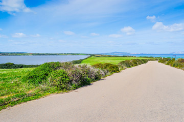 Country road in Fiume Santo shore