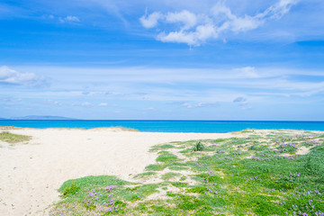 White shore in Fiume Santo beach