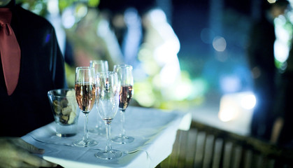 Wedding party marriage reception