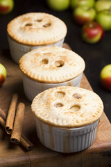 Three Mini Apple Pies with Cinnamon and Apples