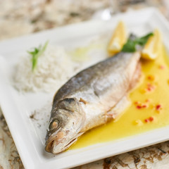 Whole boiled wolffish served with sauce from lemon butter and white wine on square white plate