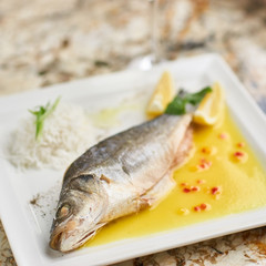Whole boiled wolffish served with sauce from lemon butter and white wine on square white plate