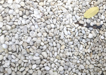Small rocks gravel or Pebbles texture background in Nature.