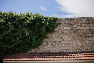 Old stone fence bright colors, orange and brown tiles, thick vines, plants, clouds, sky, summer,