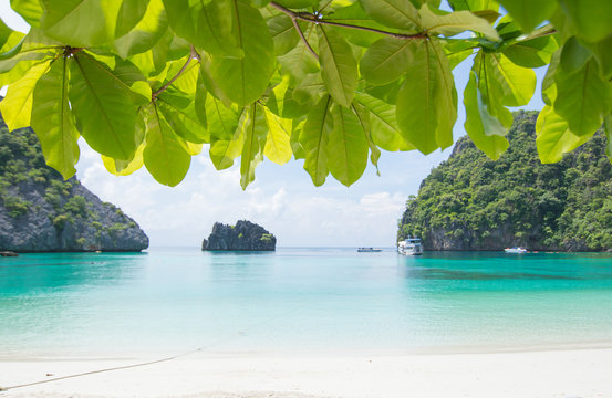 Looking  through to Sea almond Green leaf  to beautiful ocean view,with white beach and crystal clear water at Horseshoe island , South of Myanmar.