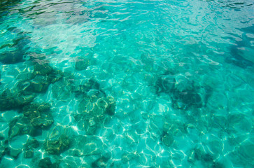 Looking to Movement of Crystal clear water surface through reef underwater